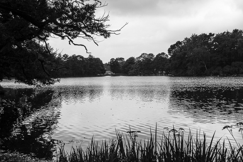 The Lake The Lake